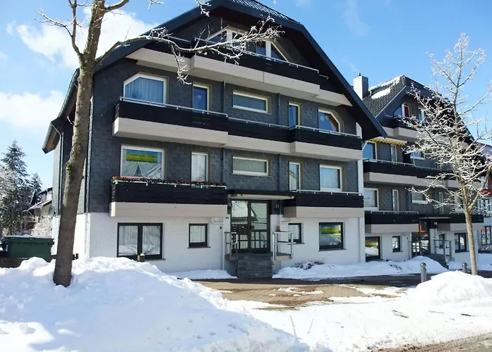 Mit Infrarotwaermekabine By Interhome Apartment Goslar