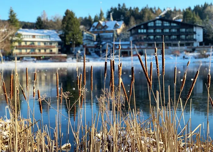 Apartment Mit Infrarotwaermekabine By Interhome Goslar